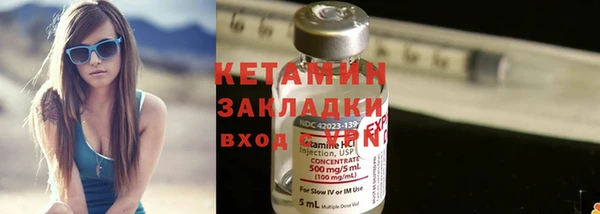 шишки Кодинск