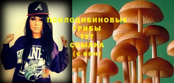 экстази Козловка