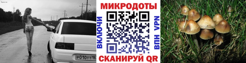 Псилоцибиновые грибы Psilocybine cubensis  хочу наркоту  Энгельс 